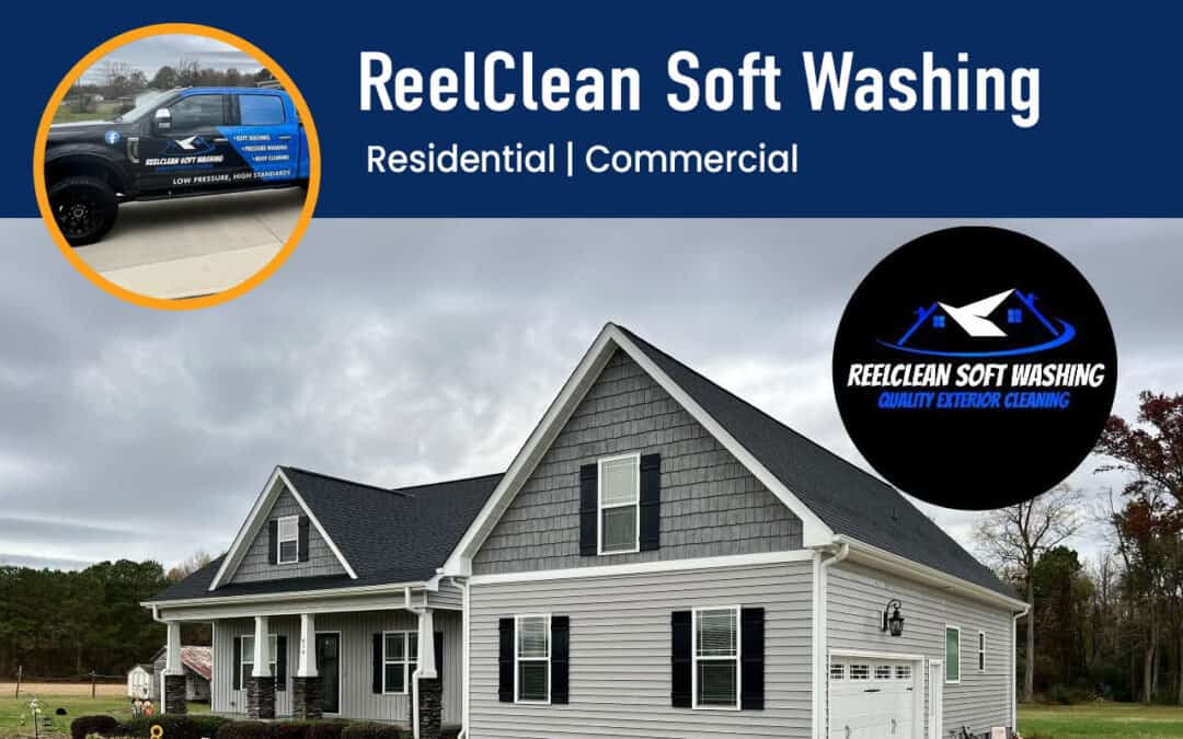 ReelClean Soft Washing